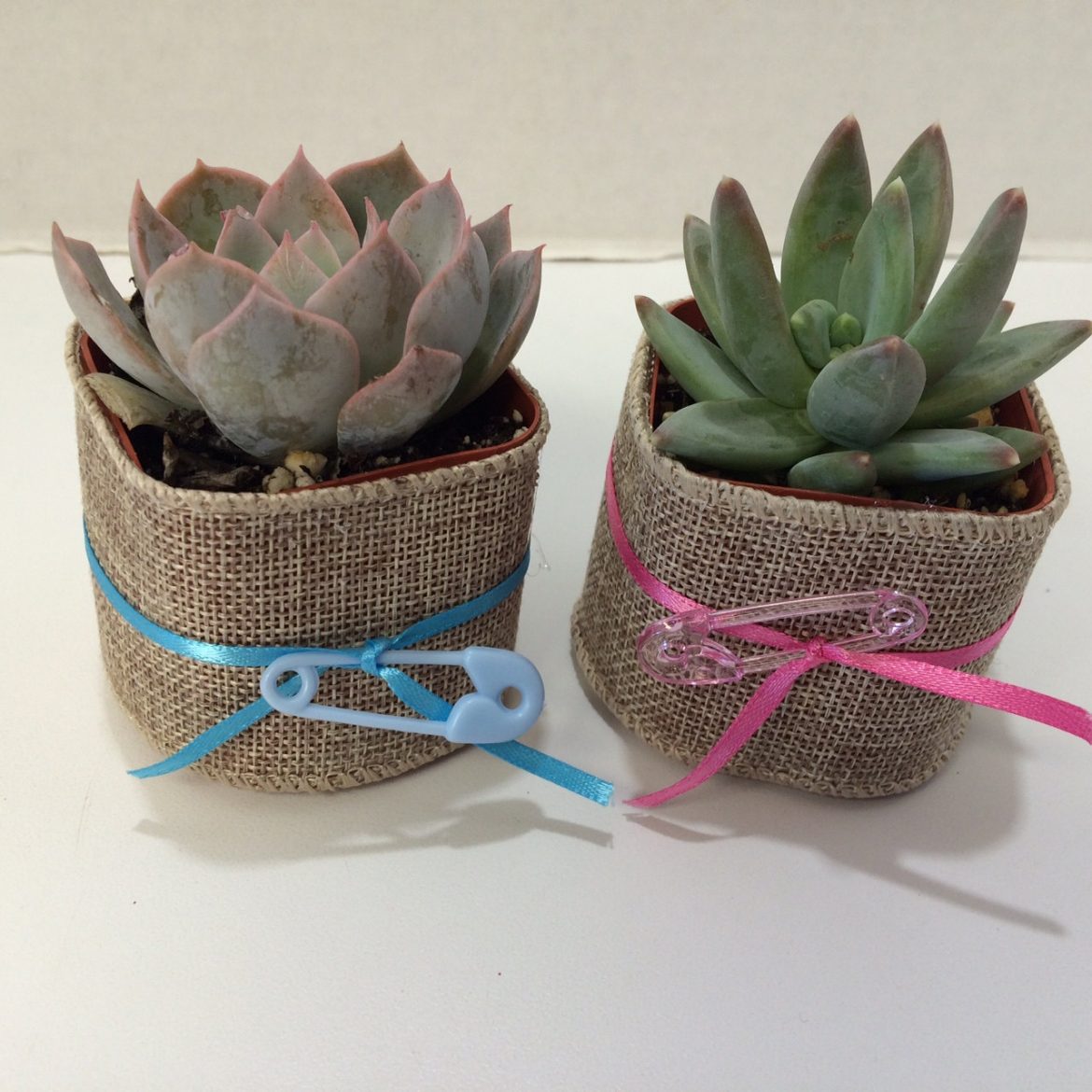 Baby Shower Favor Ideas Baby Ideas