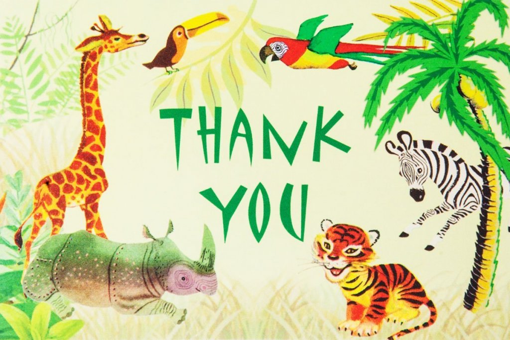 Dolce Mia Jungle Animals Safari Birthday Thank You Card Party Pack - 8 cards